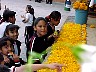 11nov001.jpg