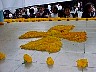 11nov008.jpg