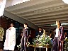 dcole089.jpg