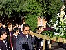 dcole096.jpg