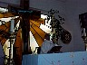 dcole107.jpg