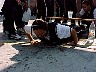 dcole137.jpg
