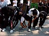 dcole144.jpg