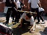 dcole156.jpg