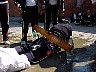 dcole158.jpg