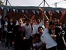 dcole170.jpg
