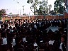 dcole195.jpg