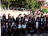dcole222.jpg