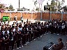 dcole225.jpg