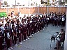 dcole229.jpg
