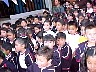 dcole246.jpg