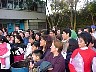 pasto008.jpg