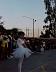 pasto035.jpg