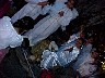 pasto098.jpg