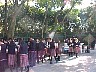 vemis007.jpg