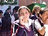vemis030.jpg