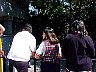 vemis059.jpg