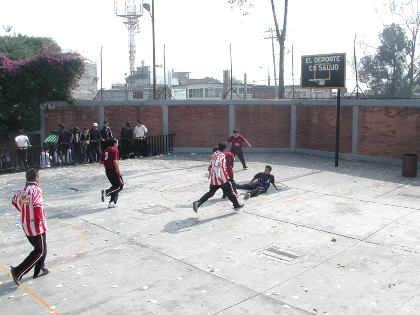Ir a la Siguiente Foto