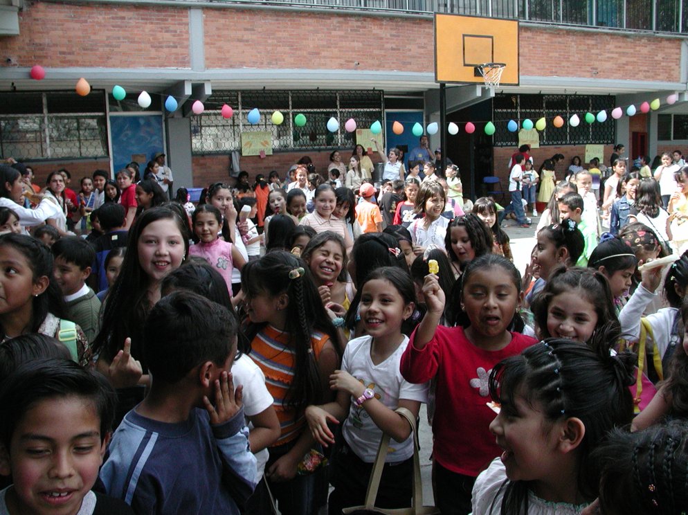 Ir a la Siguiente Foto