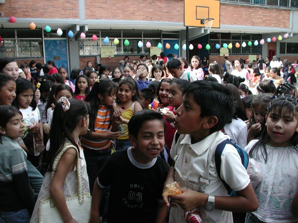 Ir a la Siguiente Foto