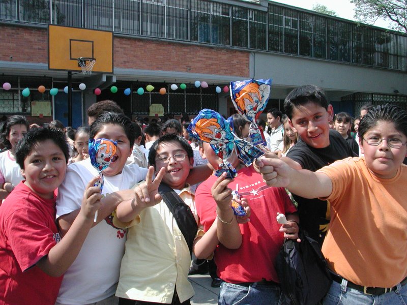Ir a la Siguiente Foto