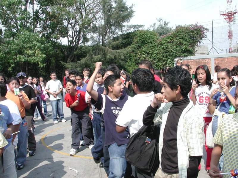 Ir a la Siguiente Foto
