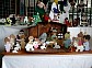 expobrsocmat20030406101.jpg