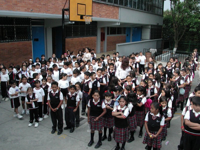 Ir a la Siguiente Foto