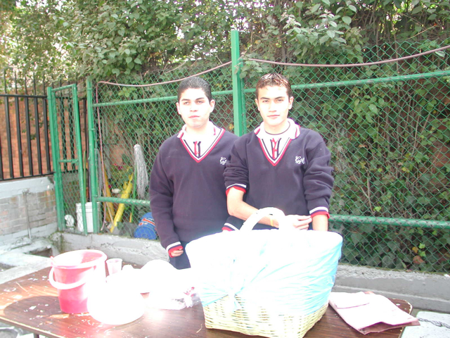 Ir a la Siguiente Foto