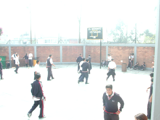Ir a la Siguiente Foto