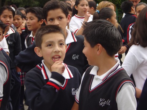 Ir a la Siguiente Foto