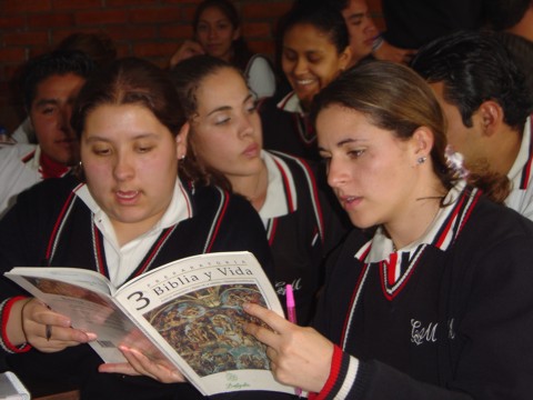 Ir a la Siguiente Foto