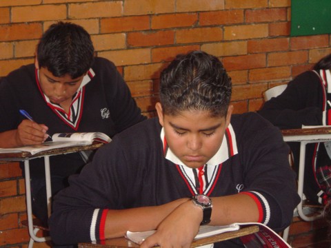 Ir a la Siguiente Foto