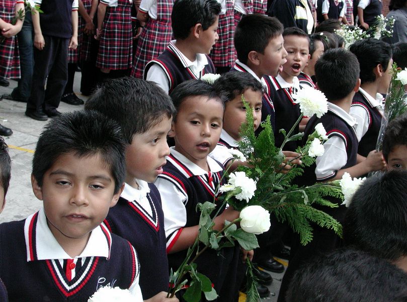 Ir a la Siguiente Foto