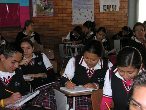 Ir a la Siguiente Foto