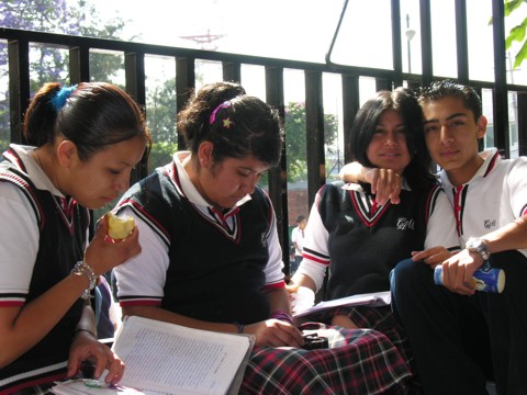 Ir a la Siguiente Foto