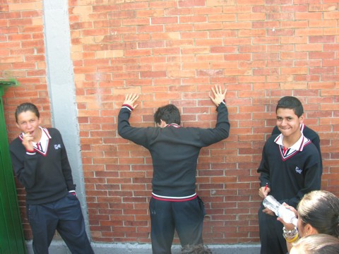 Ir a la Siguiente Foto
