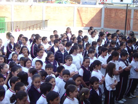 Ir a la Siguiente Foto