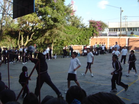 Ir a la Siguiente Foto