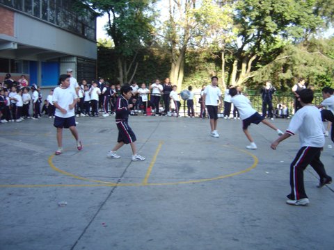 Ir a la Siguiente Foto