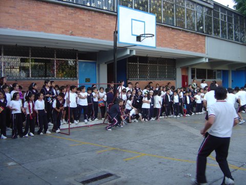 Ir a la Siguiente Foto