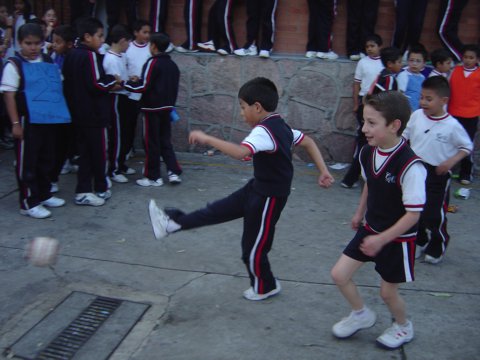 Ir a la Siguiente Foto