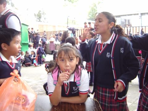 Ir a la Siguiente Foto