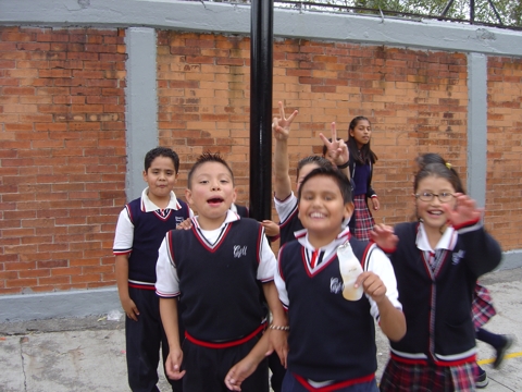 Ir a la Siguiente Foto