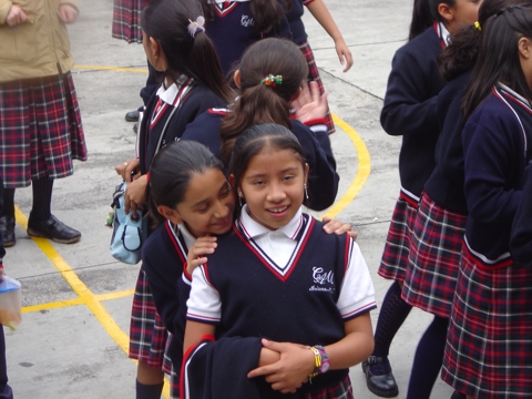 Ir a la Siguiente Foto