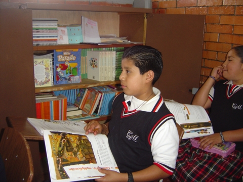 Ir a la Siguiente Foto