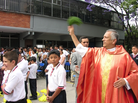 Ir a la Siguiente Foto