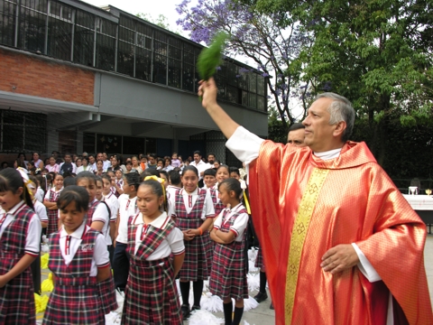Ir a la Siguiente Foto