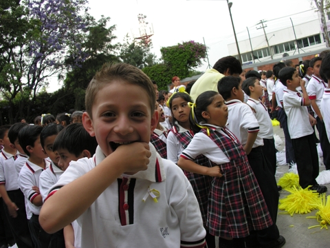 Ir a la Siguiente Foto