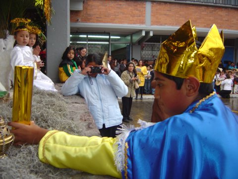 Ir a la Siguiente Foto